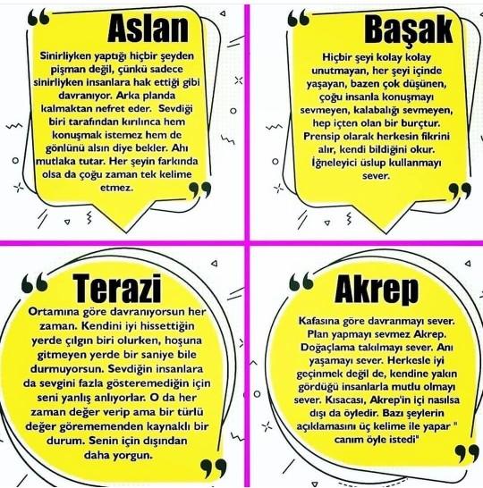 Acaba senin ozetlenisin nasıl?