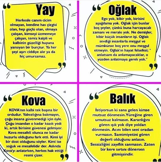 Acaba senin ozetlenisin nasıl?