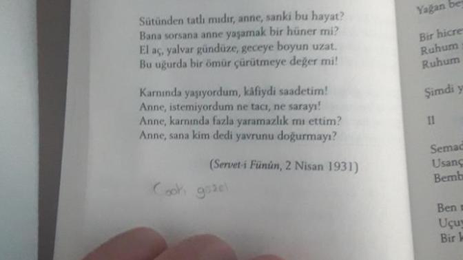 Şiir sevenleri buraya almasak mı?