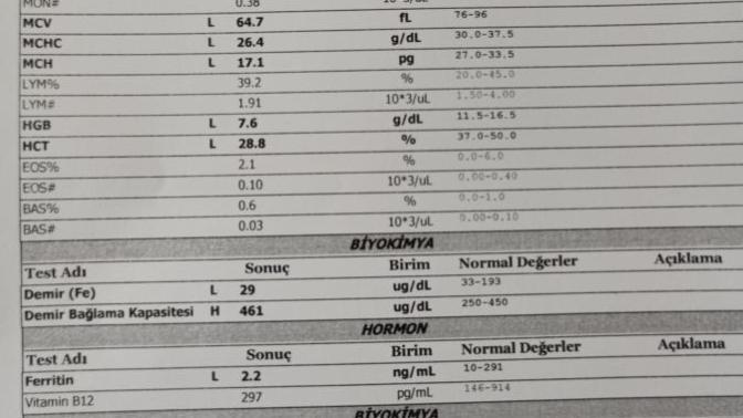 Sağlıkçılar, tahlil sonucundan anlayanlar bir bakabilir misiniz çok acil?