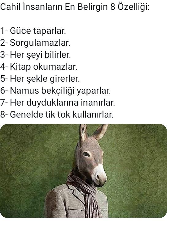 Tiktok kullanan cahil midir?