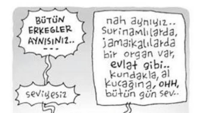"Bütün erkekler aynısınız“ cümlesindeki erkeklerin ortak özellikleri nelerdir?
