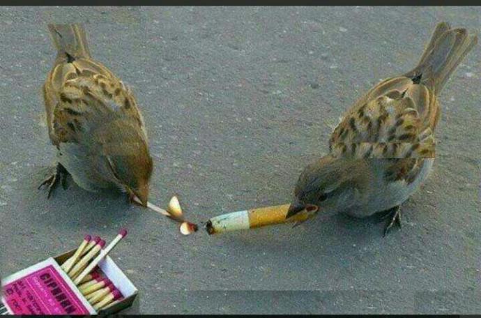 Nasıl bir sevgilisin?