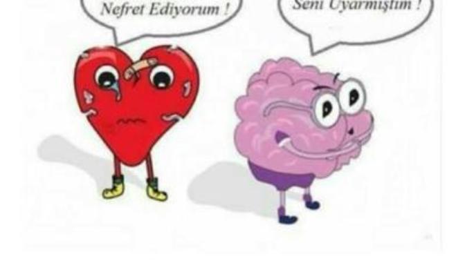 Kalbiniz değil de mantığınızla hareket etseydiniz şu an napıyor olurdunuz?