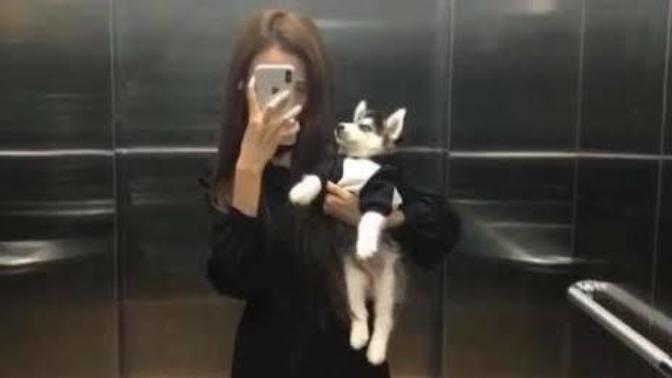 Flört döneminde kadınlar resim atarken neden hep göbek üstü resimlerini yollarlar? Boydan resimden korkarlar mı?
