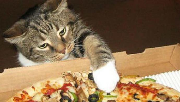 iftarda ben