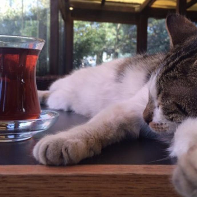 İftardan sonra sen, hangisisin?
