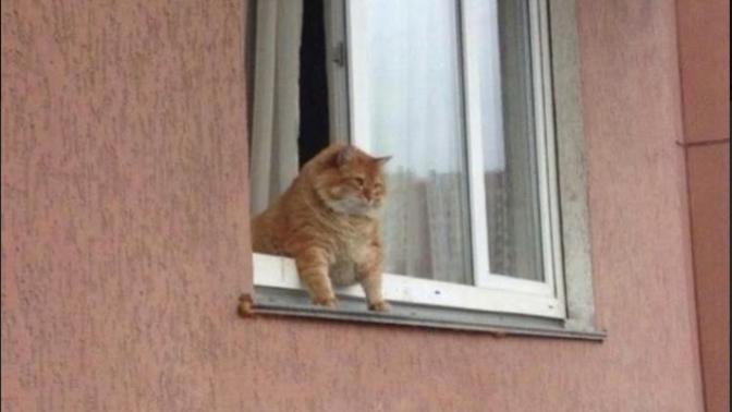 Çocukken hiç dışarıda oynadınız mı?