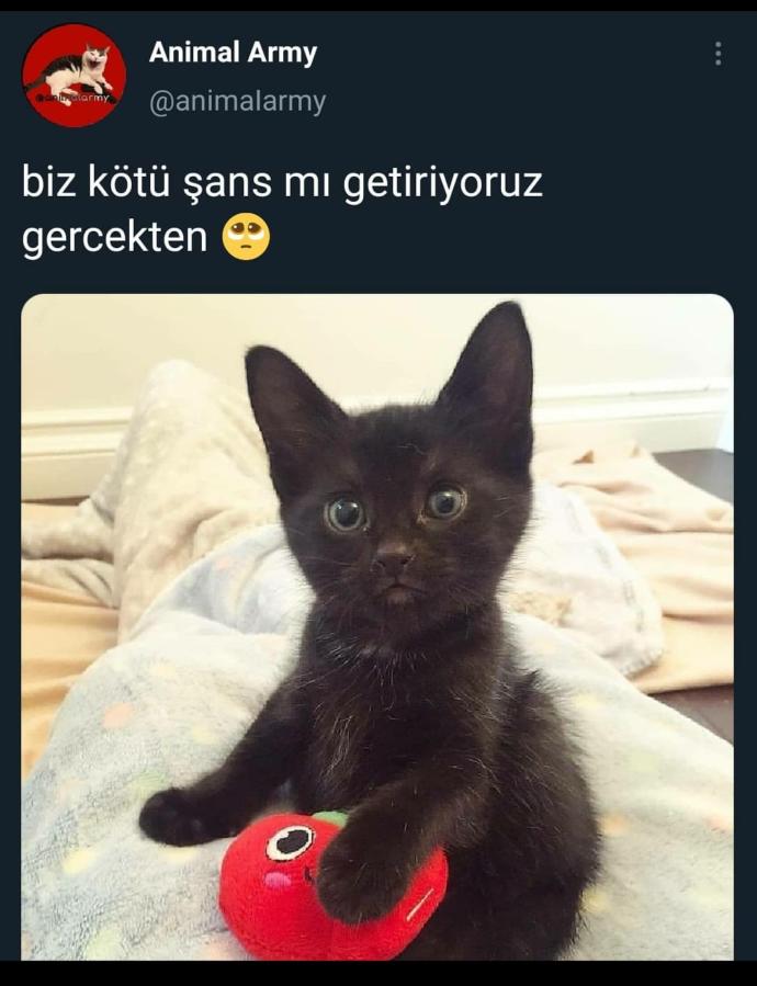 Batıl inançlara inanan biriyle sevgili olur musunuz?