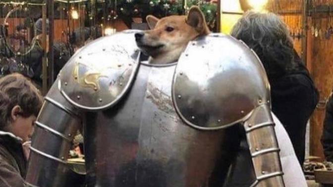 Dogecoin aldı başını gidiyor! Kripto para piyasasına güveniyor musunuz?