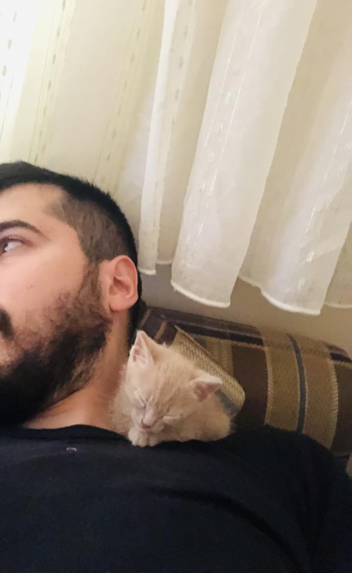 Kedim sapık mı ki?