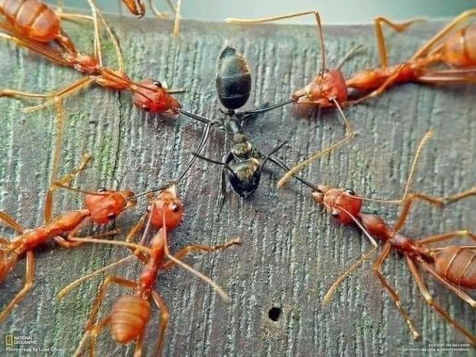 Toplumdaki yaşanan kavgaların sizce sebebi nedir?