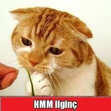 Mesajda "hmm" yazınca sinirleniyor musunuz?
