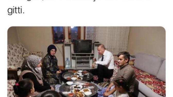 Çok tatlı değiller mi?