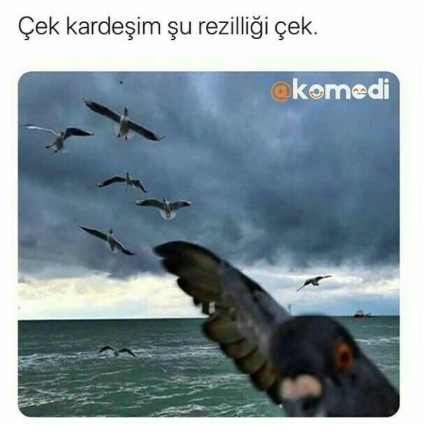 "Bıktım bu huyumdan" dediğiniz bir huyunuz var mı?