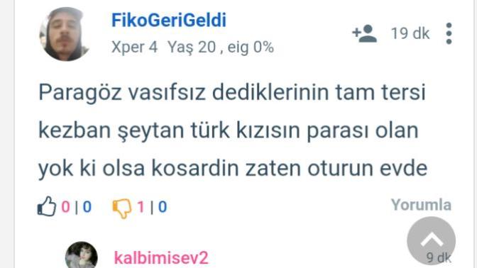 Bu sosyal medya linç kültüründen sıkıldım gerçekten neden böyleler?