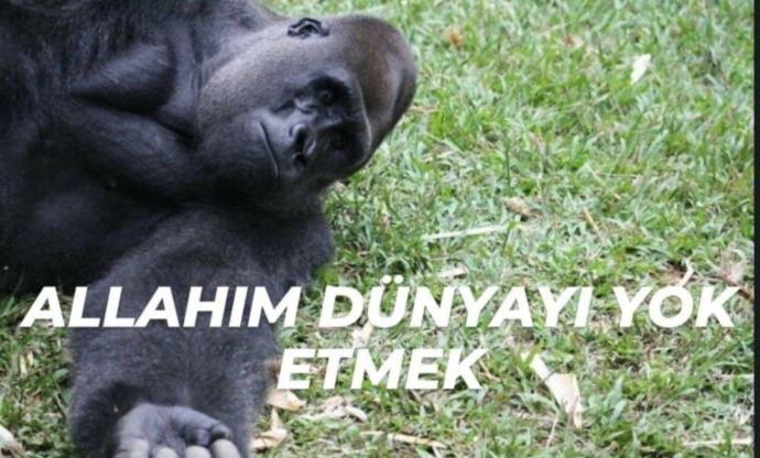Arap biri ile evlenir miydiniz?