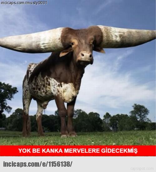 Eşinizin yüzü gözükmeyecek şekilde iç çamaşır mankeni olmasından rahatsızlık duyar mıydınız?