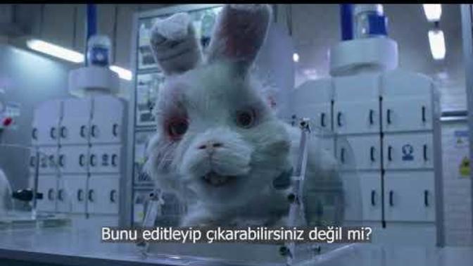 İnsanların hayvanlar üzerinde deney yapmaya hakları var mı?