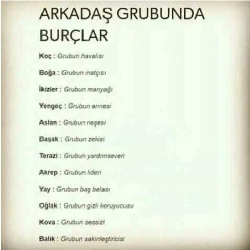 Burcuna göre arkadaş grubunda sen nesin?