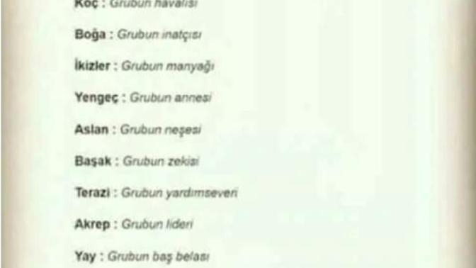 Burcuna göre arkadaş grubunda sen nesin?