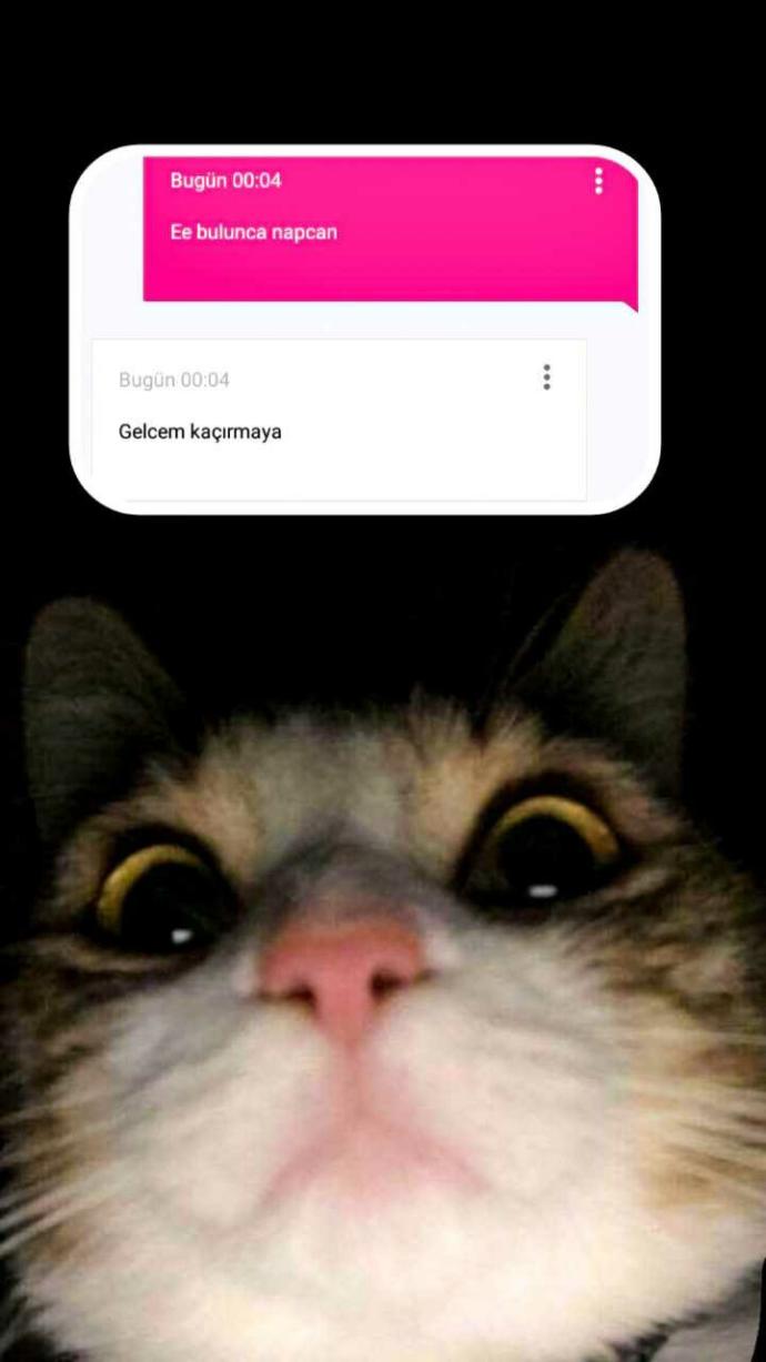Bu çocuktan nasıl kurtulurum?