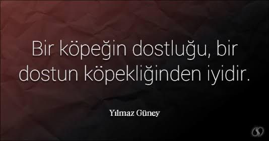Hayvanlar ile ilgili bildiğiniz en efsane söz nedir?