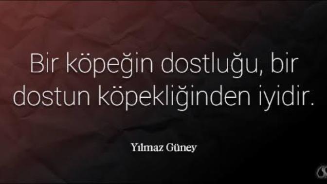 Hayvanlar ile ilgili bildiğiniz en efsane söz nedir?