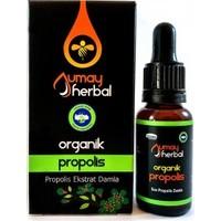 En İyi Propolis Markası, Ürünü Hangisi?