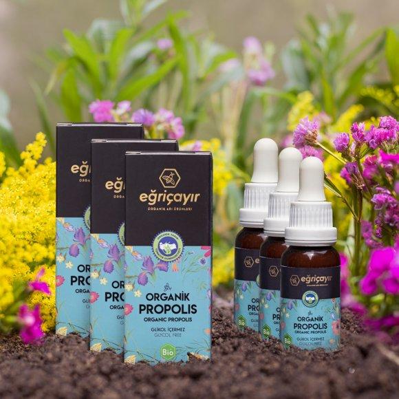 En İyi Propolis Markası, Ürünü Hangisi?