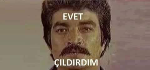 Siz hiç çıldırdıniz mi?