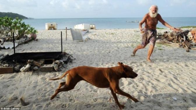Issız bir adada tek kalacak olsaydın yanında köpek mi, kedi mi isterdin?