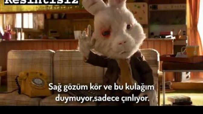 Kullandığınız kozmetik ürünlerinin deneylerinin hayvanlar üzerinde yapıldığını ve sonuçlarını biliyor musunuz?