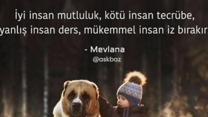Mükemmel insan ne gibidir?