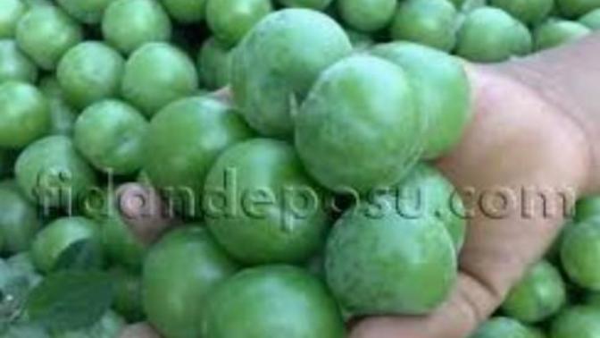 @TC_Hiper ile size erik verirmiydik diyelim mii?