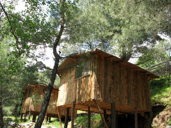 Marmara Bölgesinin En İyi Çadır / Karavan Kamp Alanları Hangileri?
