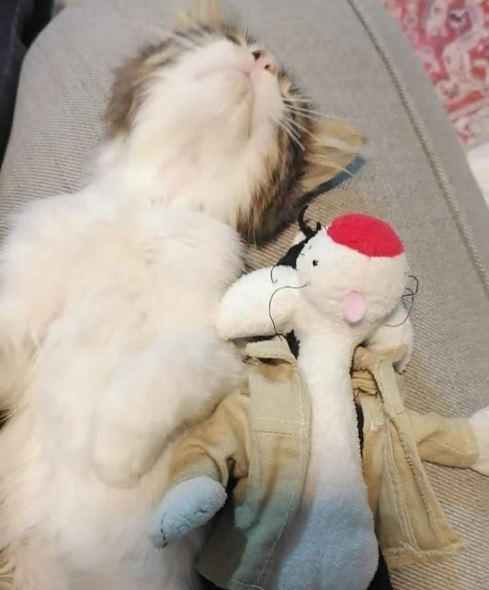 Gece olunca ben temsiliii🤭😻