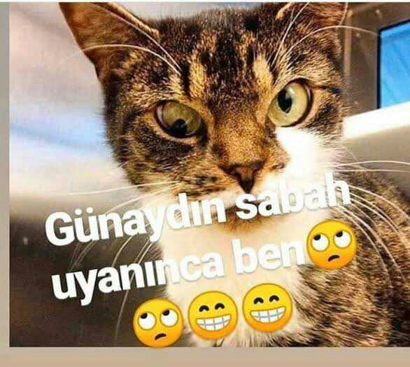 Sabahları ruh haliniz nasıl oluyor?