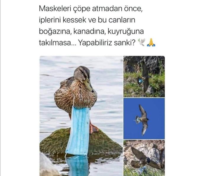 Maskenizi çöpe atarken iplerini kesmeye dikkat ediyor musunuz?