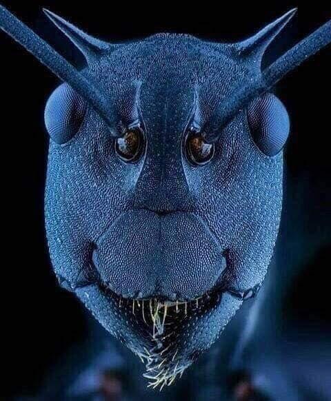 Bu biraz daha masum bakıyor