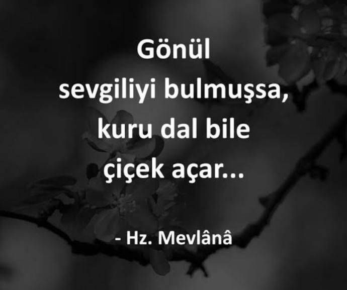 Haksızken gönül mü alırsınız inat mı edersiniz?