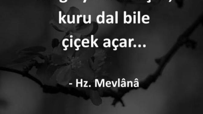 Haksızken gönül mü alırsınız inat mı edersiniz?