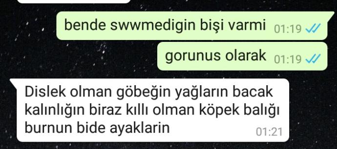 Sevgilime sorduğum soru ve aldığım yanıt bune ya ben hiç sevdiğim birinin fiziksel özellikleri hakkında yorumda bulunan biri deği