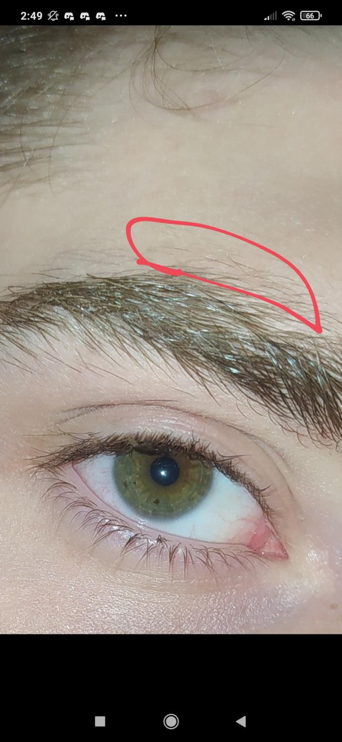 Kaşımı aldırcam ama birşey aklıma takıldı?