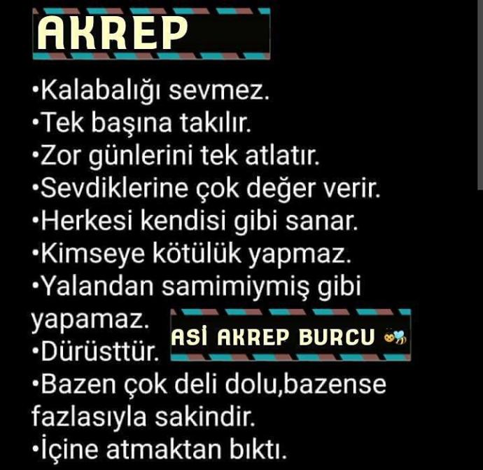 Burcuna göre hangi aşıksın?