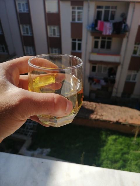 Arkadaş ortamım da alkol içiyorlar? Bende merak ediyorum?