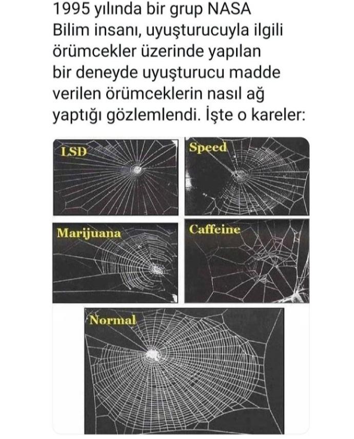 Dünya da ve Türkiye de Uyuşturucu?