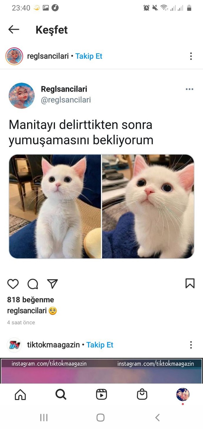 Galerinizdeki son şeye dönüşecek olsanız bu ne olurdu?