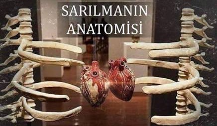 Kalp ❤️ kalp ❤️