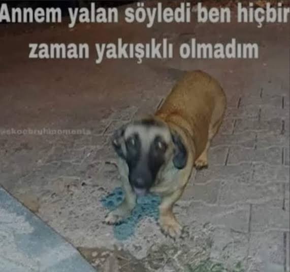 Ben bukadar yakisikli iken neden sevgilim olmuyor?